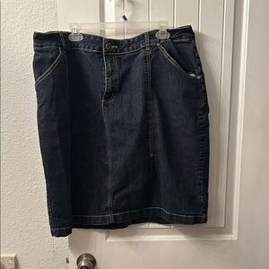 Classic Dark Blue Denim Skirt Grunge, Whimsigoth Skater